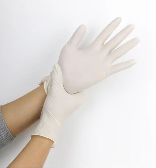 Powder/Powder Free Disposable Food Service Examination Latex Gloves High Quality Natural Latex Gloves