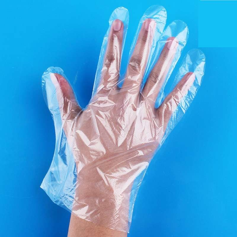 Transparent PE Glove 2021